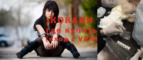 сатива Беслан