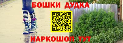 МДПВ Брянск