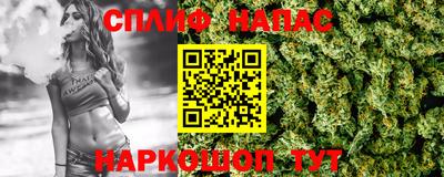МДПВ Брянск