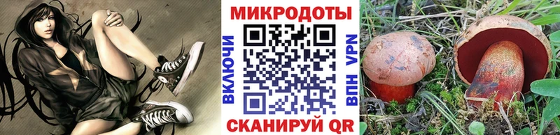 Псилоцибиновые грибы Psilocybe  Мегион 
