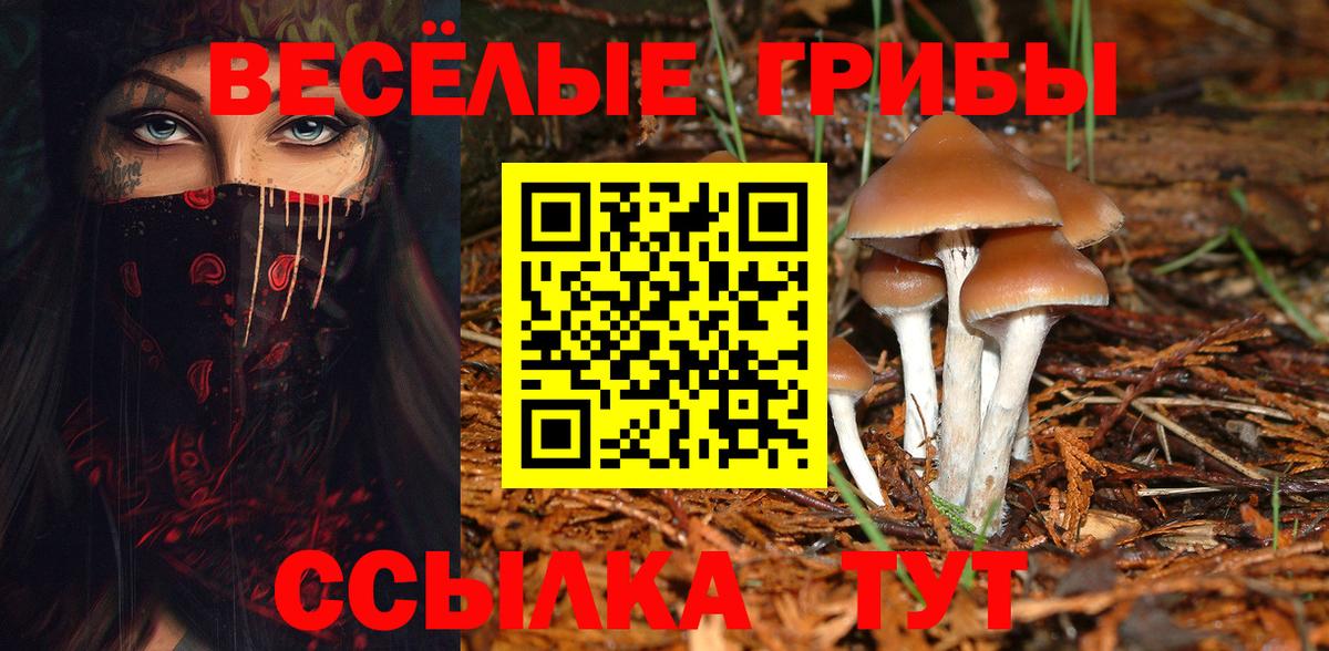 Псилоцибиновые грибы Psilocybine cubensis  Вход с VPN  Мегион 