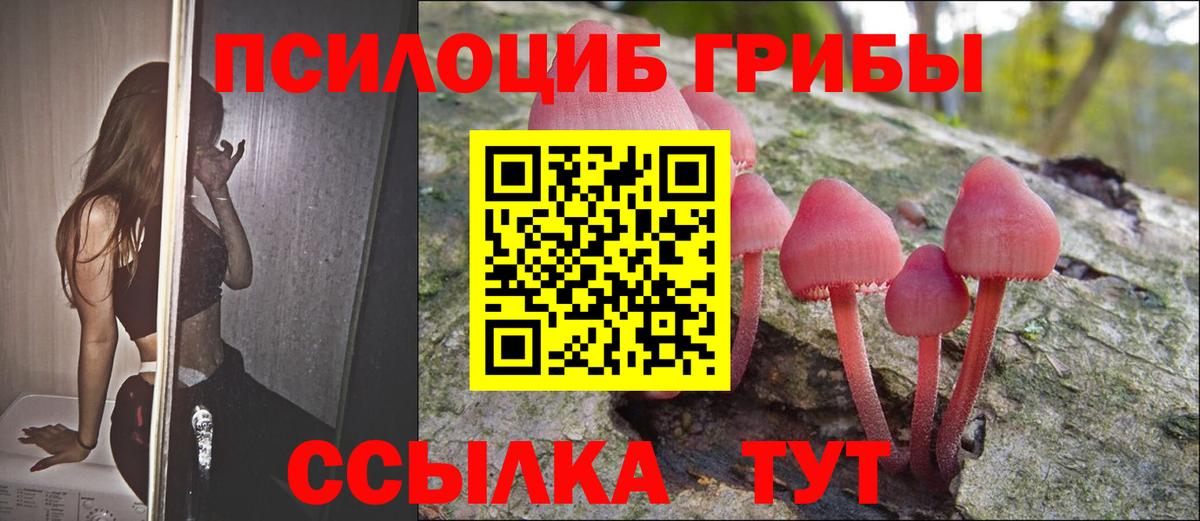 Псилоцибиновые грибы Cubensis Мегион